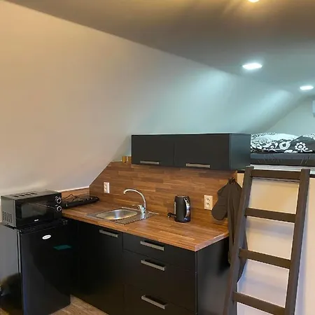 Sklep U Havliku Apartment *